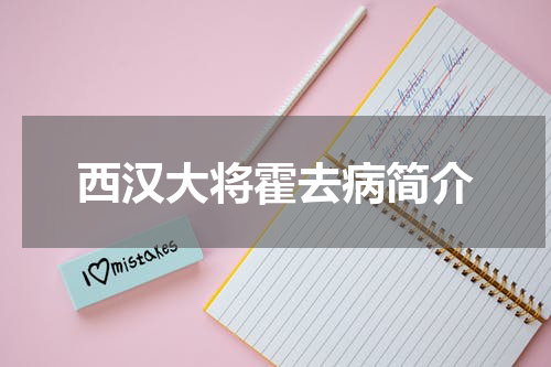 西汉大将霍去病简介