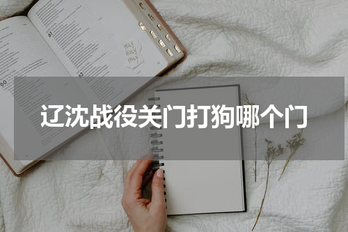 辽沈战役关门打狗哪个门