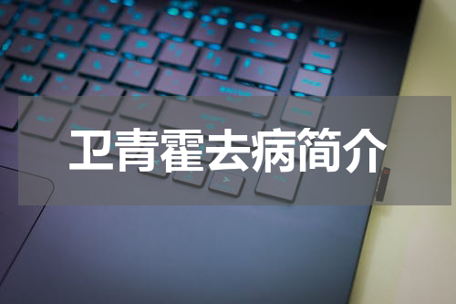 卫青霍去病简介