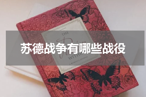 苏德战争有哪些战役