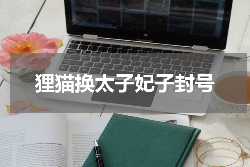 狸猫换太子妃子封号