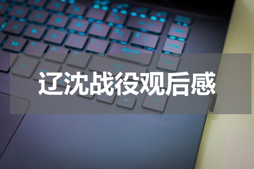 辽沈战役观后感