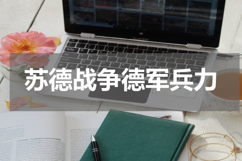 苏德战争德军兵力