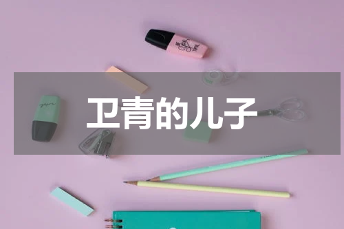 卫青的儿子