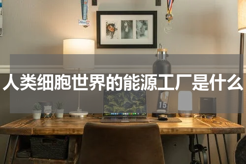 人类细胞世界的能源工厂是什么