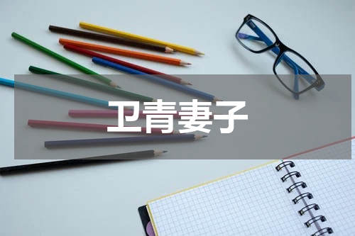 卫青妻子