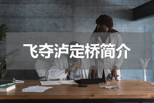 飞夺泸定桥简介