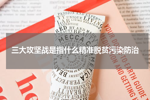 三大攻坚战是指什么精准脱贫污染防治