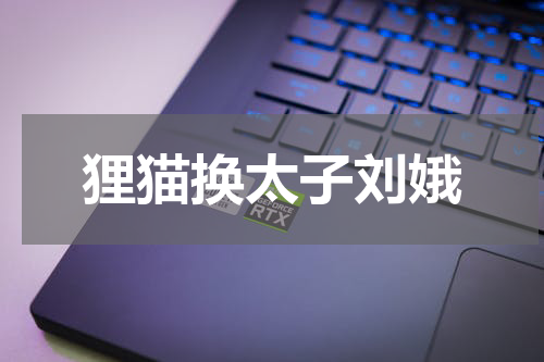 狸猫换太子刘娥