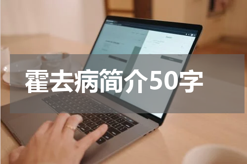 霍去病简介50字