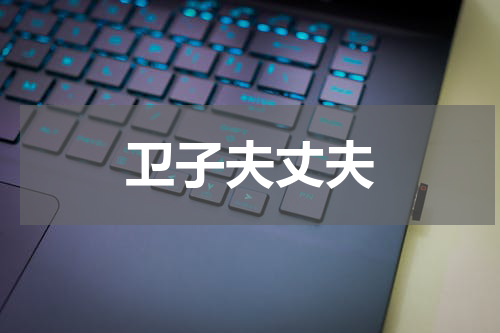 卫子夫丈夫