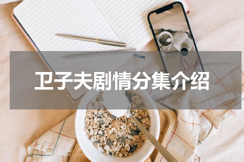 卫子夫剧情分集介绍