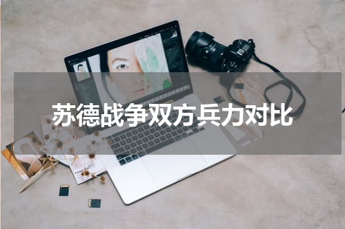 苏德战争双方兵力对比