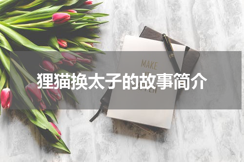 狸猫换太子的故事简介