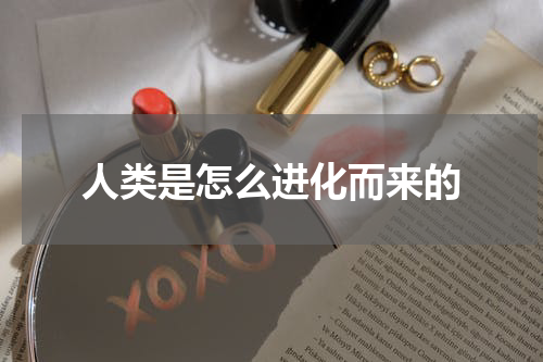 人类是怎么进化而来的