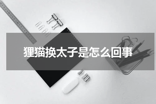 狸猫换太子是怎么回事