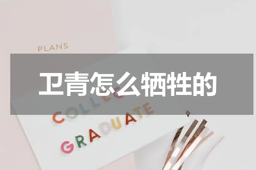 卫青怎么牺牲的