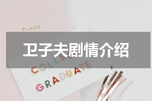 卫子夫剧情介绍