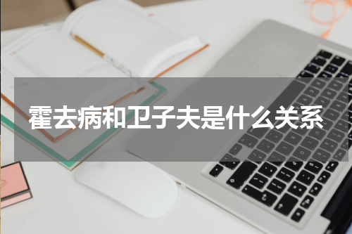 霍去病和卫子夫是什么关系