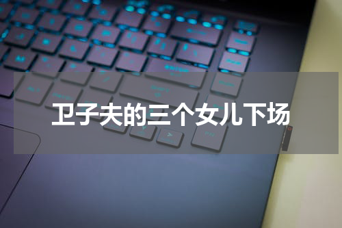 卫子夫的三个女儿下场