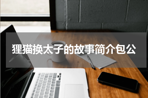 狸猫换太子的故事简介包公