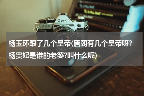 杨玉环跟了几个皇帝(唐朝有几个皇帝呀?杨贵妃是谁的老婆?叫什么呢)