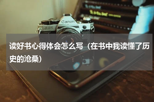 读好书心得体会怎么写（在书中我读懂了历史的沧桑）