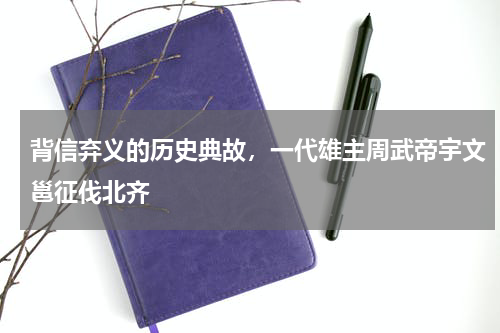 背信弃义的历史典故，一代雄主周武帝宇文邕征伐北齐