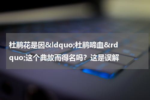杜鹃花是因&ldquo;杜鹃啼血&rdquo;这个典故而得名吗？这是误解