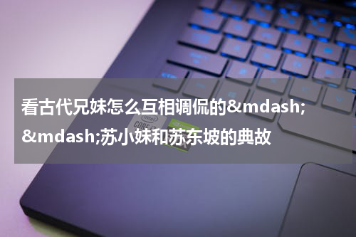 看古代兄妹怎么互相调侃的&mdash;&mdash;苏小妹和苏东坡的典故